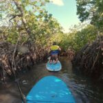 Noosa: Epic Stand Up Paddle Stingray & Mangrove Tunnel Tour - Overview of the Experience