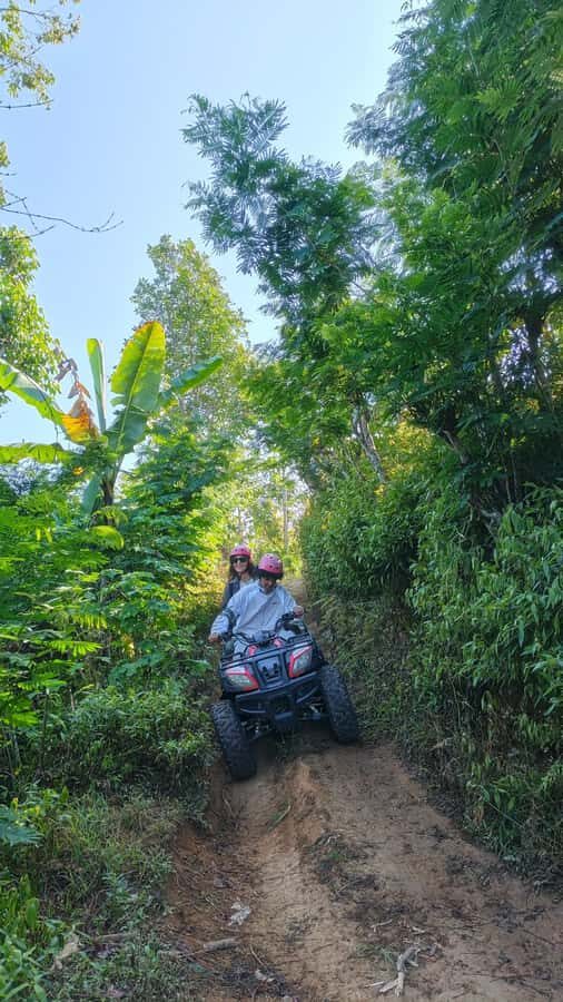 North Bali: ATV Ride, Jungle Trek, and Waterfall Jumping - Who Should Consider This Tour?