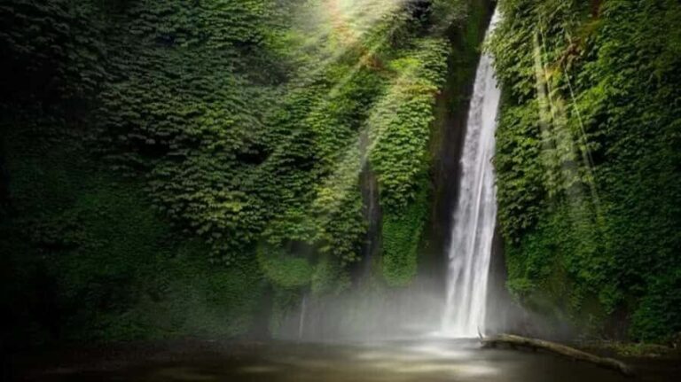 North Bali: Explore Munduk Waterfall Trekking Experience - Who Should Consider This Tour?