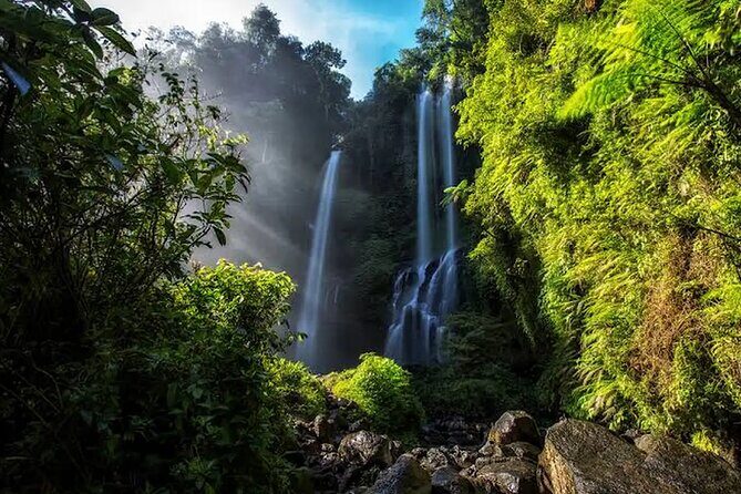 North Bali Highlight Tour From Celukan Bawang Cruise Port - What We Loved About This Tour