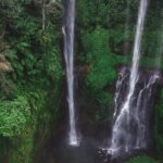 North Bali Sekumpul and Banyumala Waterfalls with Rice Terraces - A Deep Dive into the Experience
