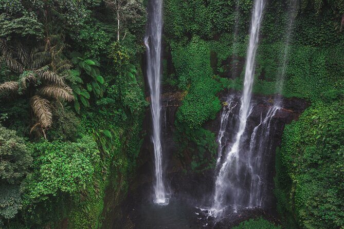 North Bali Sekumpul and Banyumala Waterfalls with Rice Terraces - A Deep Dive into the Experience