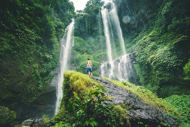 North Bali Tour with Twin Waterfalls and Temple - Transportation and Overall Experience  