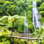 North Bali Waterfall Enthusiast Private Tour - Practical Aspects of the Tour