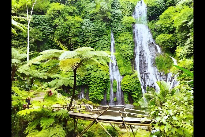 North Bali Waterfall Enthusiast Private Tour - Practical Aspects of the Tour