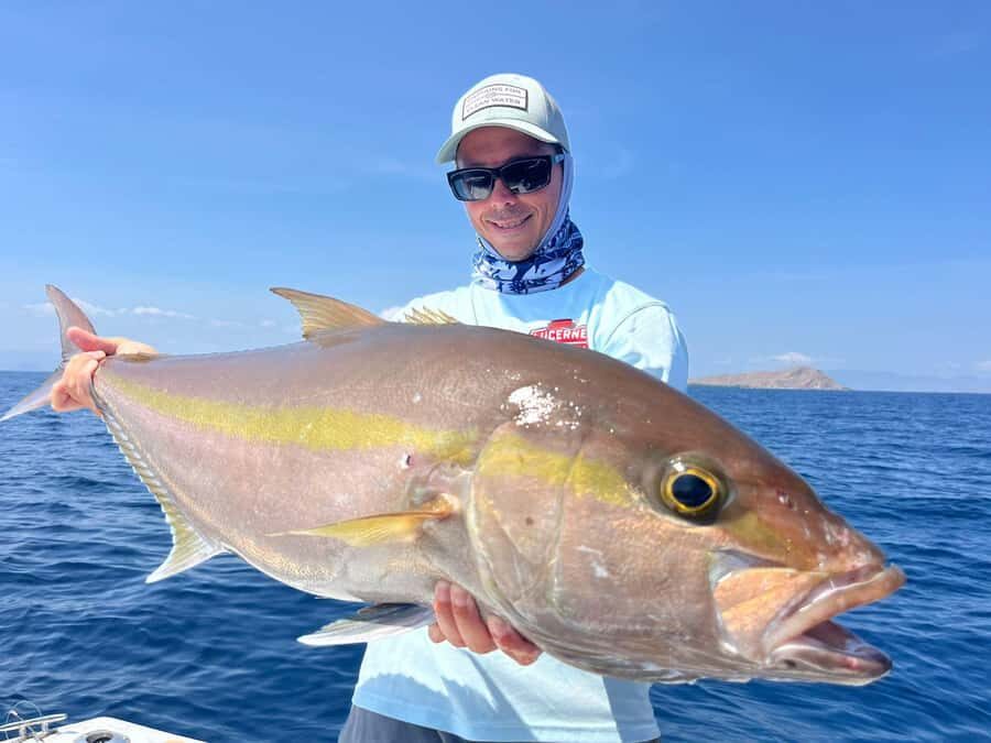 North Komodo: Private Full-Day Fishing Trip by Speedboat - The Practicalities: From Booking to Return