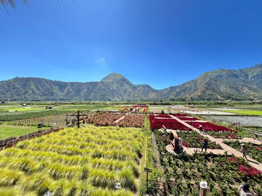 North Lombok: Explore Sendang Gile, Tiu Kelep & Selong Hill - A Detailed Look at the Tour Experience