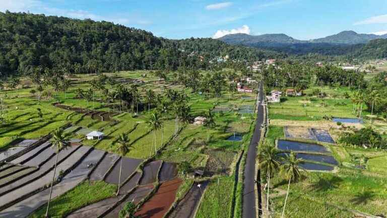 North Sulawesi: Tomohon Nature & Culture Private Guide Tour - Transportation & Practicalities