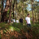 Northern Sydney Beaches and Beyond - What the Tour Includes and Excludes