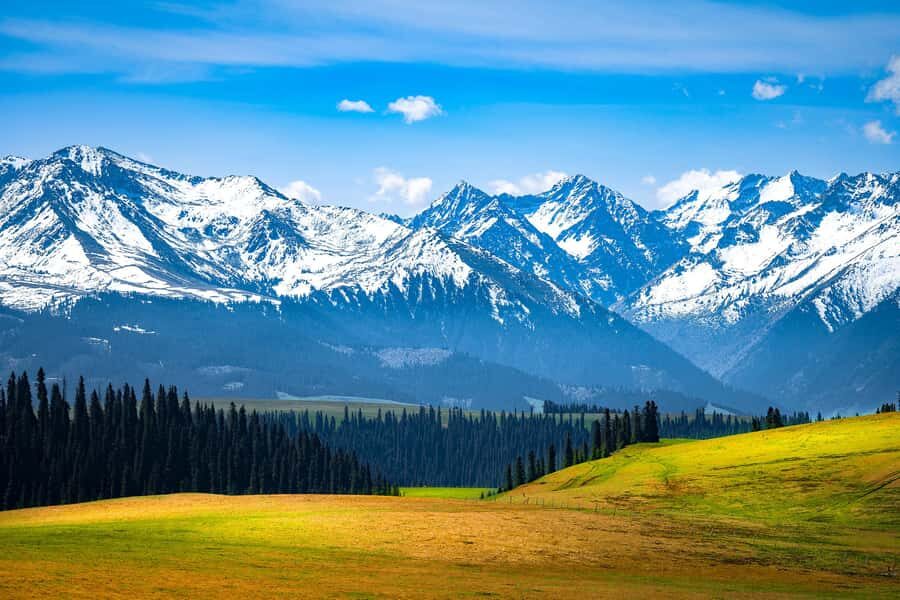 Northern Xinjiang: 10-Day Private Tour with Duku Highway - Final Thoughts: Who Is This Tour Perfect For?