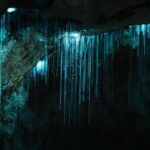 Northland Hidden Gems Glowworm Cave, Beach and Café Experience - Introduction to the Tour