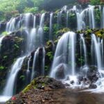 Nungnung Waterfall & Jatiluwih Rice Fields Tour - Final Thoughts: Is This Tour Worth It?