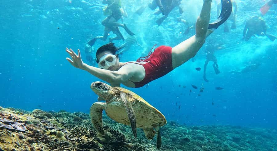 Nusa Lembongan from Bali: 3 Spots Snorkeling & Islands Tour - Why This Tour Offers Great Value
