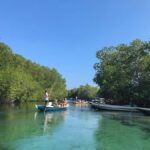Nusa Lembongan Mangrove & Island Tour - Who Will Love This Tour?