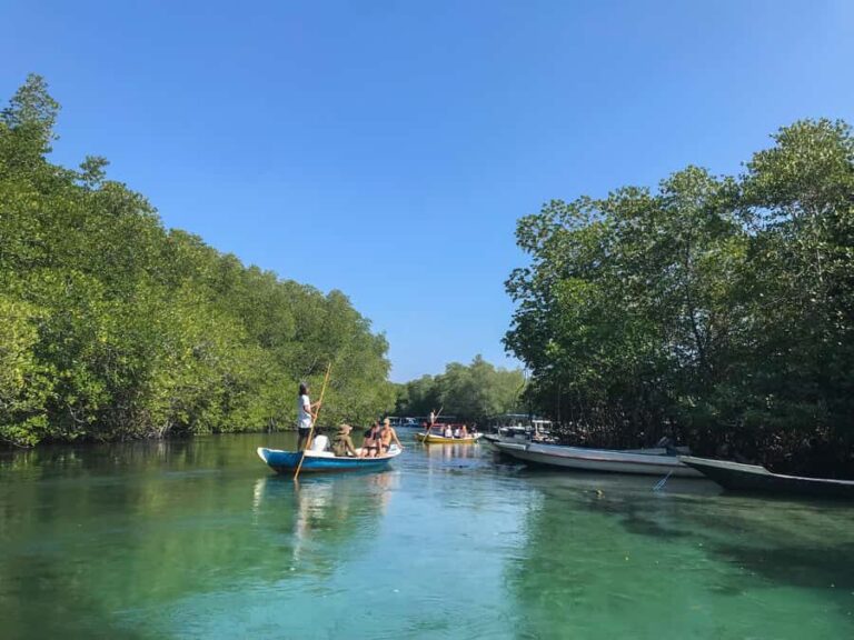 Nusa Lembongan Mangrove & Island Tour - Who Will Love This Tour?