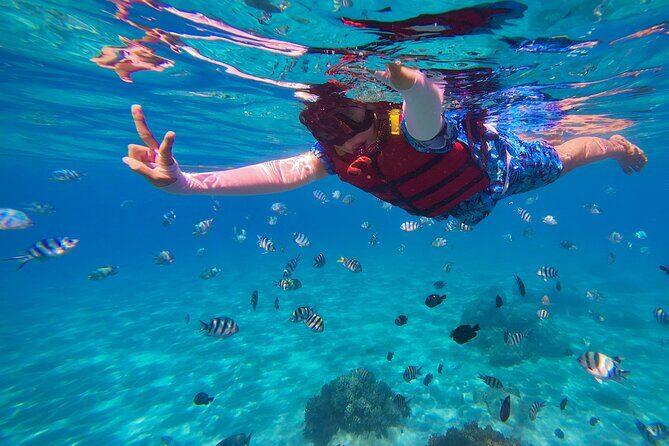 Nusa Penida Snorkeling: Manta Point & Island Day Trip - Authentic Experiences: What Reviewers Say
