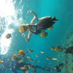 Nusa Penida Snorkling Package - Authenticity and Practicality in Every Detail