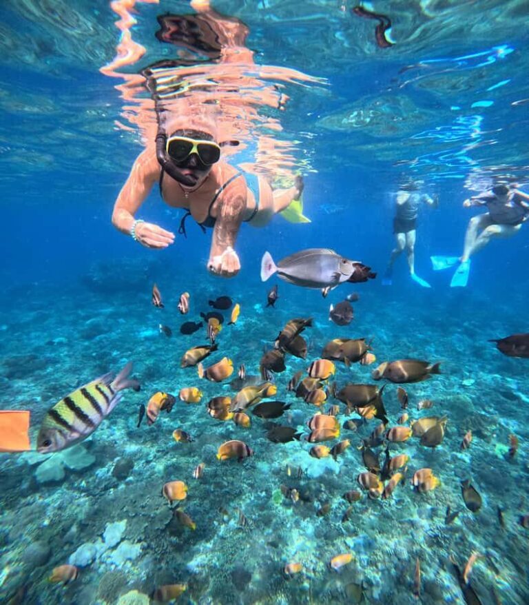 Nusa Penida: West Day Trip with Lunch and Snorkelling Tour - The Practicalities: What You Need to Know  