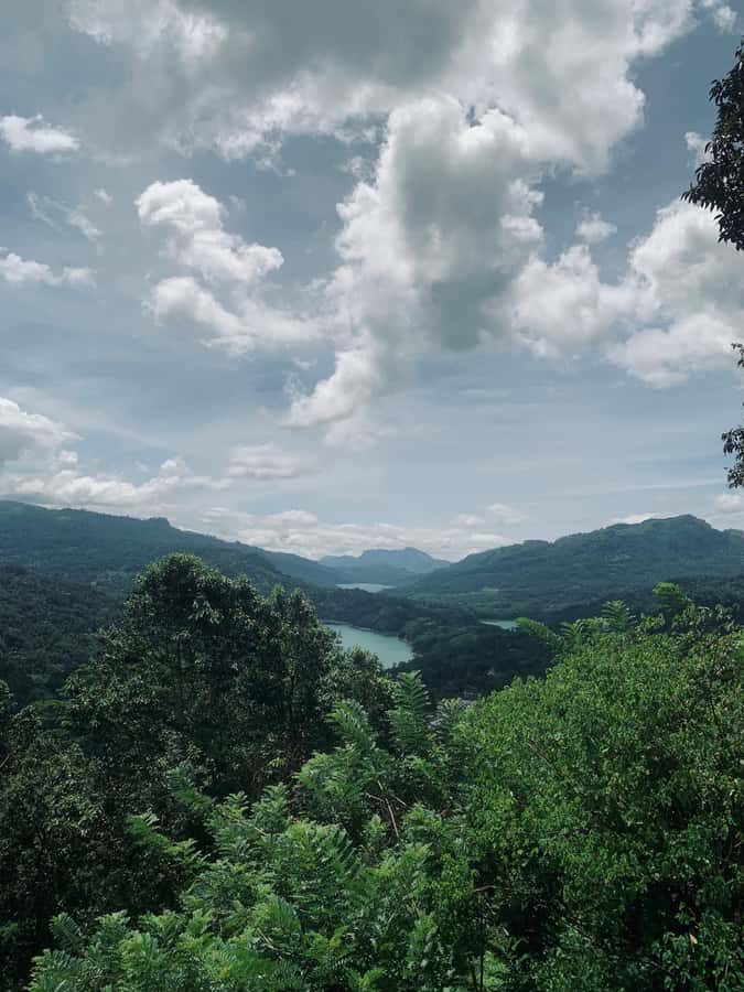 Nuwara Eliya: Premium Tea & Waterfall Tour - Private SUV - Exploring the Itinerary of the Tea & Waterfall Tour