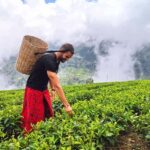 Nuwara Eliya Private Tuk-Tuk Tour | Tea factory & Waterfall - The Real Value: What Youll Get