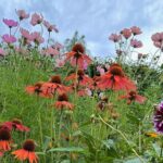 Oasis Cottage Gardens and Floristry Studio in Oxford, NZ - Why You Should Consider This Tour