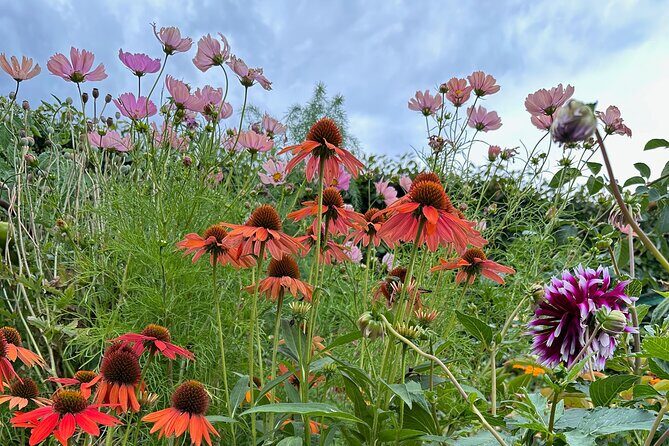 Oasis Cottage Gardens and Floristry Studio in Oxford, NZ - Why You Should Consider This Tour