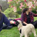 Oberon: Breaky with The Crew - Animal Lover Experience! - Practical Details: What You Need to Know