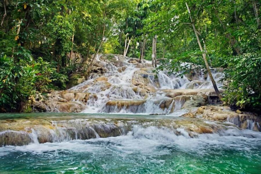 Ocho Rios: Dunn's River Falls and Shopping Tour - The Experience of the Guides and Transportation