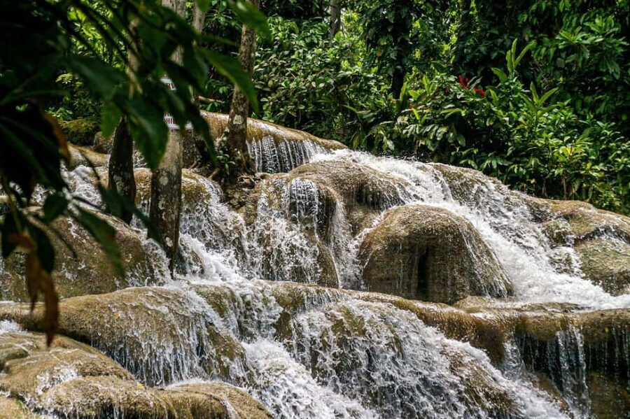 Ocho Rios: Dunn's River Falls Tour - Why This Tour Is a Great Pick