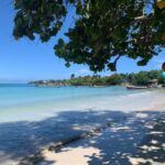 Ocho Rios: Sightseeing& Beach With stops for Lunch& Shopping - What to Expect: Practical Details