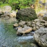 Ocho Rios, St Mary and Portland Full Day Sightseeing Tour - Practical Details and What to Expect