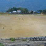 Offbeat Travel (7 Point). - Who Will Love This Tour?