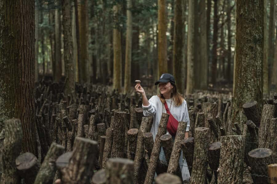 Oita: Shiitake Mushroom Farm Tour & Tasting - An In-Depth Look at the Oita Shiitake Mushroom Farm Tour