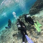 Okinawa Blue Cave Boat Diving in Onna Village| 8 Perks - An Honest Breakdown of the Okinawa Blue Cave Boat Diving Tour