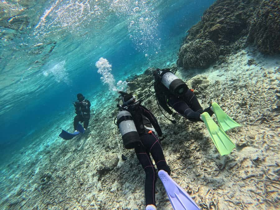 Okinawa Blue Cave Boat Diving in Onna Village| 8 Perks - An Honest Breakdown of the Okinawa Blue Cave Boat Diving Tour
