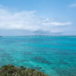 Okinawa Classic Highlights & Flexible Routes: Private Tour - What to Expect During the Day