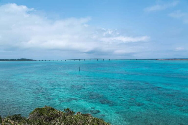Okinawa Classic Highlights & Flexible Routes: Private Tour - What to Expect During the Day
