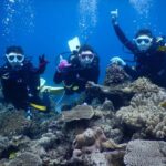 Okinawa: Discover SCUBA Diving at Minna, Sesoko or Motobu - In-Depth Look at the Itinerary
