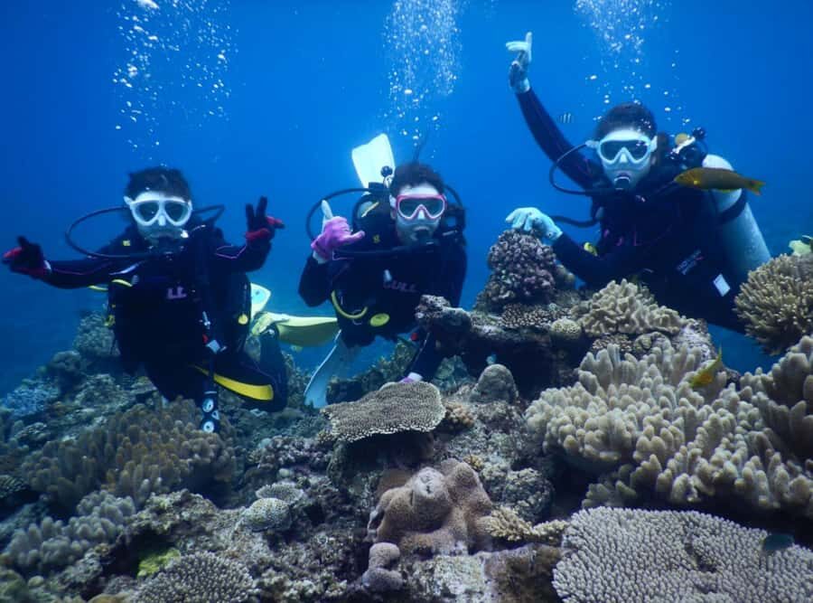 Okinawa: Discover SCUBA Diving at Minna, Sesoko or Motobu - In-Depth Look at the Itinerary