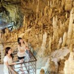 Okinawa Hip-hop Bus D Course Tour to Southern Island - Practical Details: What to Expect