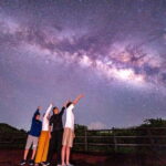 Okinawa Iriomotejima Night Adventure Tour - What to Expect During the Tour