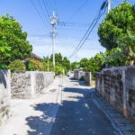 Okinawa: Sacred Island Tour to Kudakas Ryukyuan Holy Sites - Detailed Breakdown of the Tour Experience