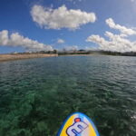 Okinawa: West Coast Stand-Up Paddleboarding Experience - The Sum Up