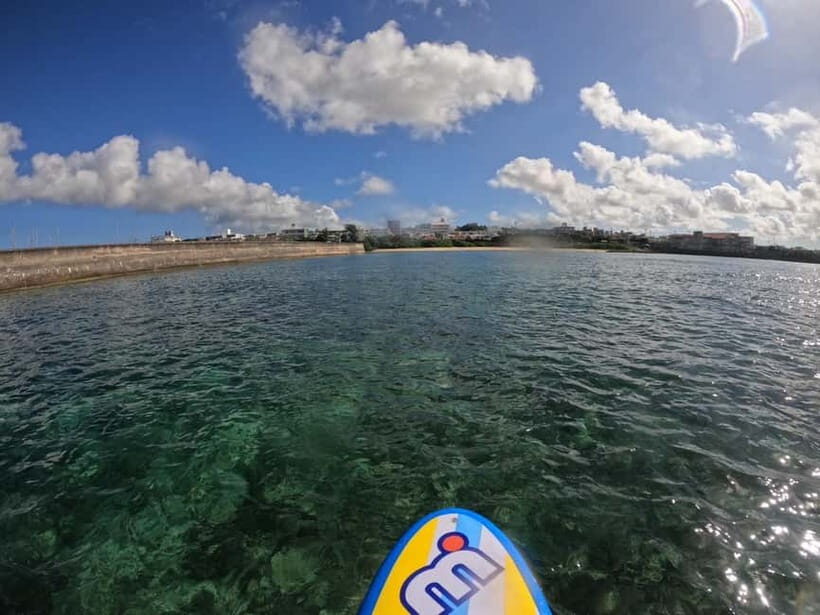Okinawa: West Coast Stand-Up Paddleboarding Experience - The Sum Up