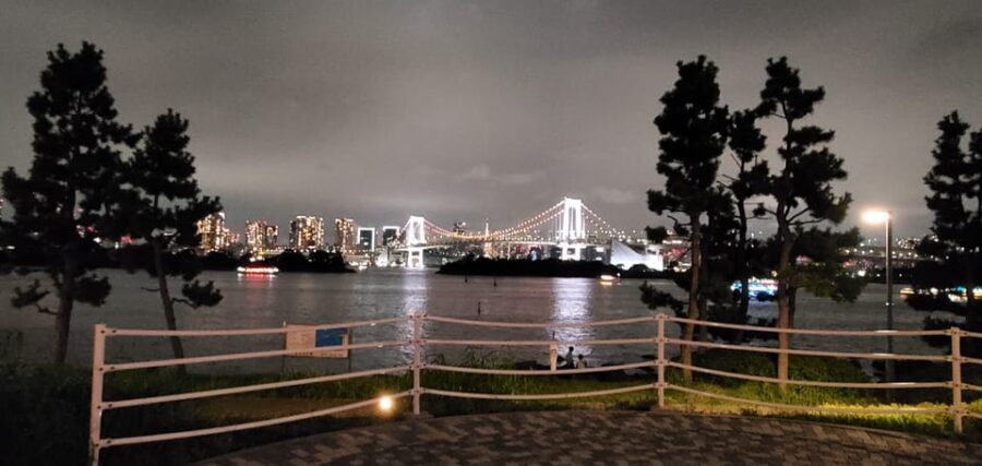 One Day Private Tour of Tokyo Famous Places - What’s Included and Whats Not