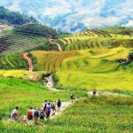 One Day Sapa Trekking Homestay - Is it Worth the Price?