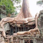 One Day Shared Trip to Angkor Temples with sunset - Why This Tour Offers Good Value