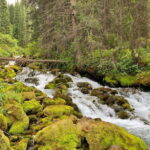 One Day Tour of the Magical Lake of Kol Tor - Why This Tour Offers Great Value