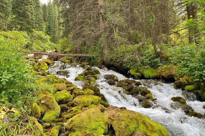 One Day Tour of the Magical Lake of Kol Tor - Why This Tour Offers Great Value