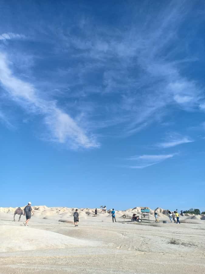 One Day Tours Bintan - Transport and Duration